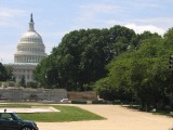 Washinton 059 